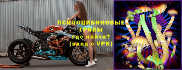 дурь Каменка