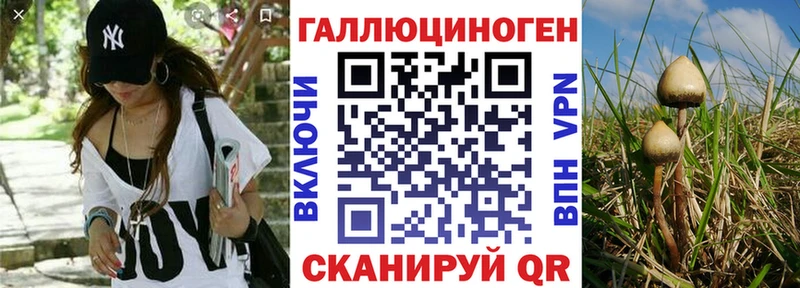 Псилоцибиновые грибы ЛСД  сколько стоит  Сим 